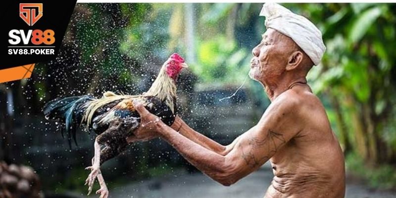 Điều trị sau khi đá