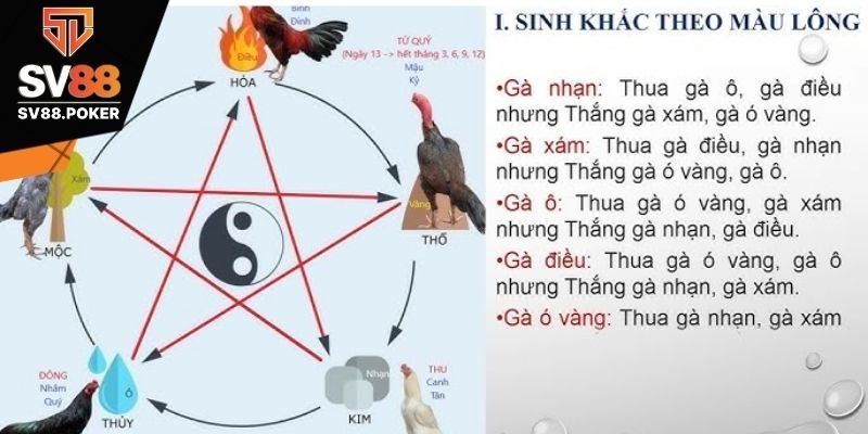 Xem ngày tương ứng với màu mạng